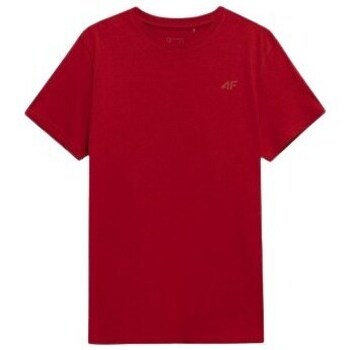 Clothing Men Short-sleeved t-shirts 4F 4FAW23TTSHM087662S Red
