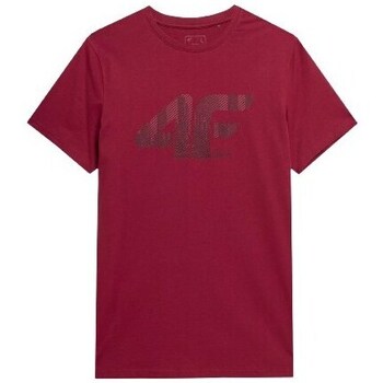 Clothing Men Short-sleeved t-shirts 4F 4FSS23TTSHM30961S Red