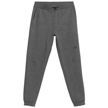 Clothing Men Trousers 4F H4Z21SPMD01124M Grey