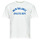 Clothing Men Short-sleeved t-shirts New Balance ATHLETICS DEPT TEE White