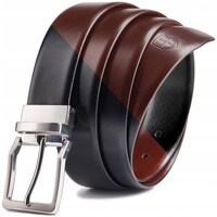 Clothes accessories Belts Peterson Dh Ptn Psd-01-c-115 Black, Brownn