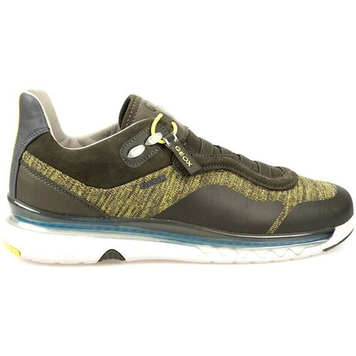 Shoes Men Low top trainers Geox Levita A Olive