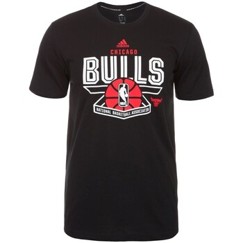Clothing Men Short-sleeved t-shirts adidas Originals Nba Chicago Bulls Black