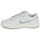 Shoes Women Low top trainers Nike DUNK LOW Beige / Mauve