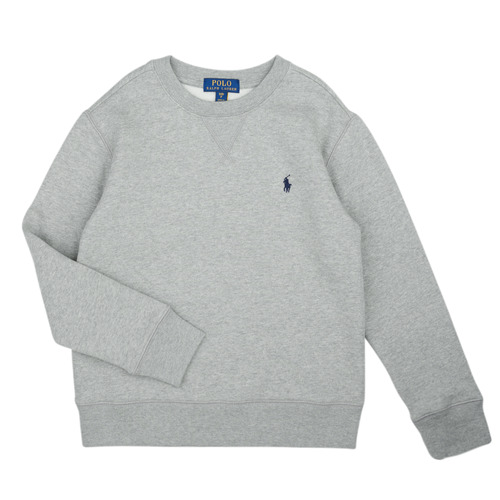 Clothing Children Sweaters Polo Ralph Lauren LS CN-TOPS-KNIT Grey