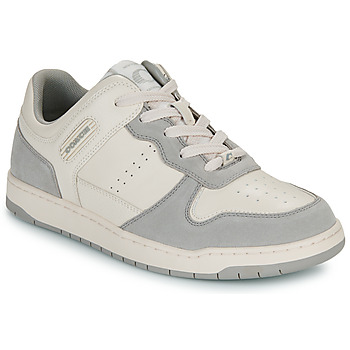 Shoes Women Low top trainers Coach C201 SUEDE White / Grey