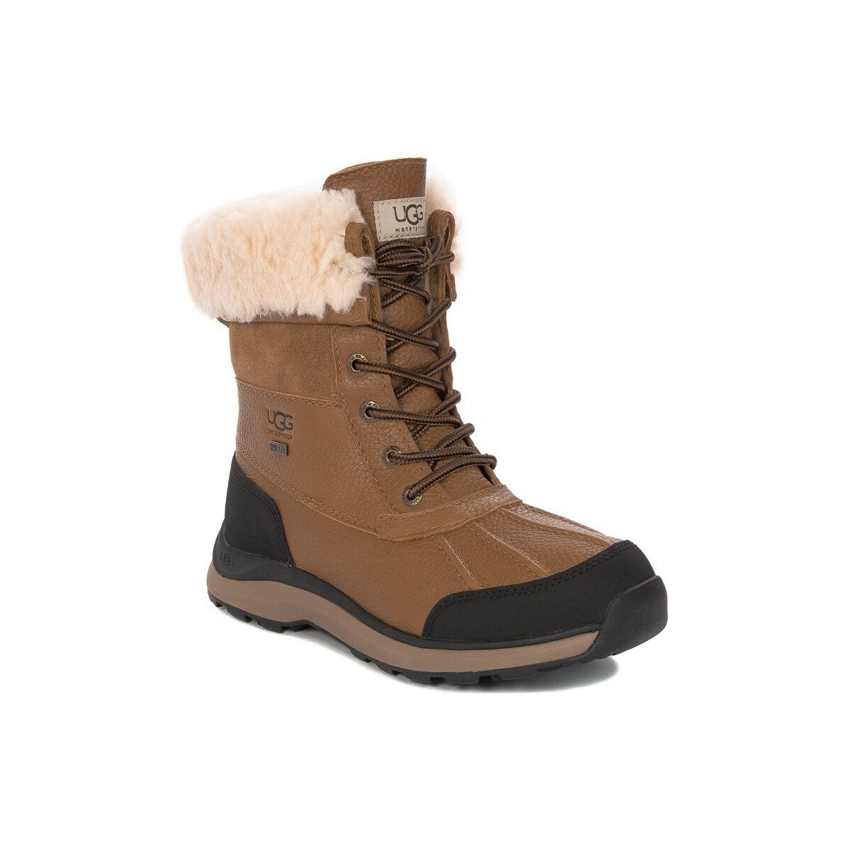 Shoes Women Snow boots UGG Adirondack Boot Iii Chestnut Brown