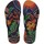 Shoes Women Flip flops Havaianas SLIM TROPICAL Multicolour