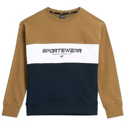 Clothing Boy Sweaters 4F 4FJAW23TSWSM63074S Brown, Navy blue