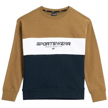 Clothing Boy Sweaters 4F 4FJAW23TSWSM63074S Black, Brown