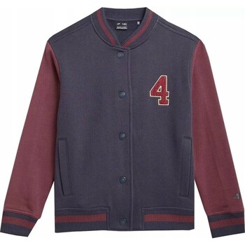 Clothing Boy Sweaters 4F 4FJAW23TSWSM63531S Cherry , Graphite