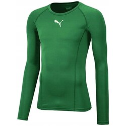 Clothing Men Short-sleeved t-shirts Puma Baselayer Tee Ls Green