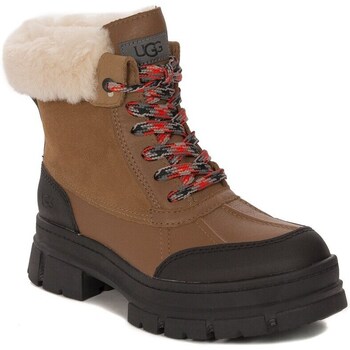Shoes Women Snow boots UGG Ashton Addie Brown