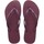 Shoes Women Flip flops Havaianas SLIM LOGO METALLIC Purple