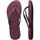 Shoes Women Flip flops Havaianas SLIM LOGO METALLIC Purple