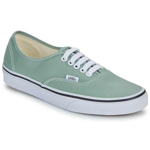 Shoes Low top trainers Vans Authentic Green