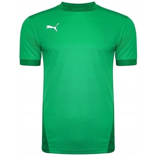 Clothing Men Short-sleeved t-shirts Puma Teamgoal 23 Jersey Green