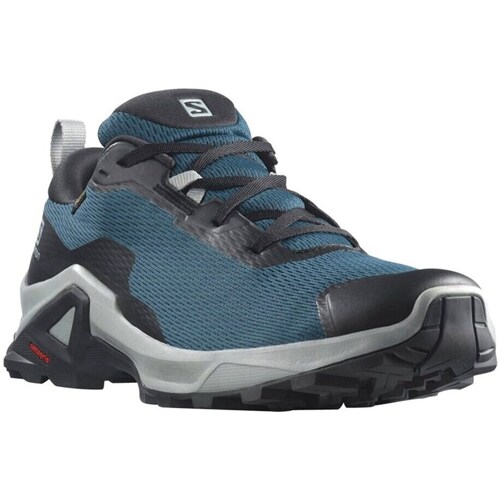 Shoes Men Walking shoes Salomon X Reveal 2 Gtx Black, Blue