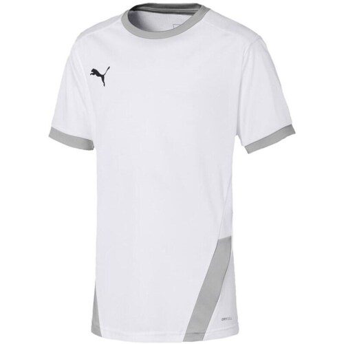 Clothing Boy Short-sleeved t-shirts Puma Teamgoal 23 Jersey White, Grey