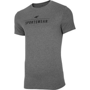 Clothing Men Short-sleeved t-shirts 4F K8274 Grey