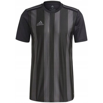 Clothing Men Short-sleeved t-shirts adidas Originals Striped 21 Jersey Black