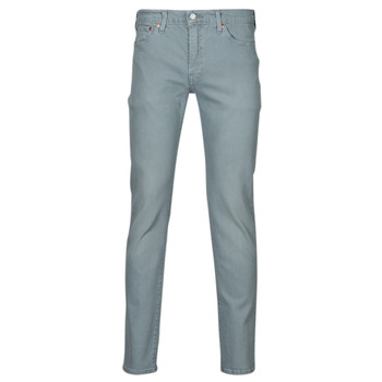 Clothing Men Slim jeans Levi's 511 SLIM Frost / Gd