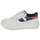 Shoes Boy Low top trainers Tommy Hilfiger PAULENE White