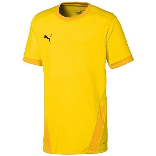 Clothing Boy Short-sleeved t-shirts Puma Teamgoal 23 Jersey Yellow