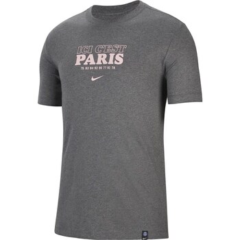Clothing Men Short-sleeved t-shirts Nike Psg T-shirt Grey