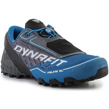 Shoes Men Running shoes Dynafit Feline Sl Gtx Carbon frost Blue