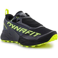 Shoes Men Low top trainers Dynafit Ultra 100 Gtx Black, Green