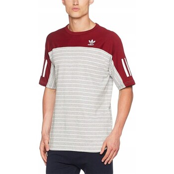 Clothing Men Short-sleeved t-shirts adidas Originals Stripe Grey, Burgundy