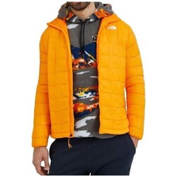 Clothing Men Jackets The North Face M Tball Eco Hdy Orange