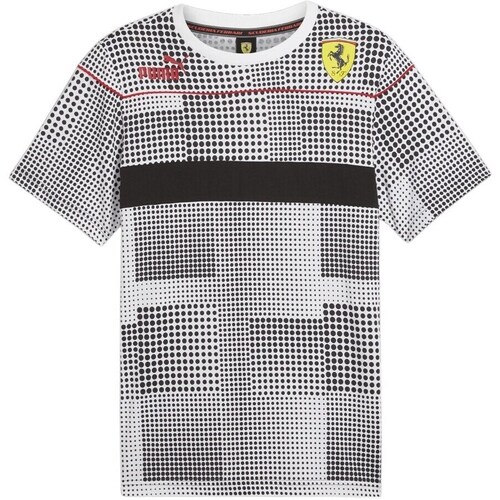 Clothing Men Short-sleeved t-shirts Puma 62092101 Black, White