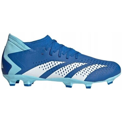 Shoes Men Football shoes adidas Originals Predator Accuracy 3 Fg Blue