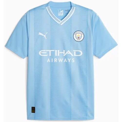 Clothing Men Short-sleeved t-shirts Puma Manchester City Home Jsy Blue