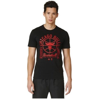 Clothing Men Short-sleeved t-shirts adidas Originals Chicago Bulls Tee 2 Black