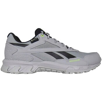 Shoes Men Low top trainers Reebok Sport Ridgerider 5 Gtx Grey