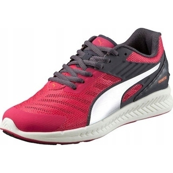 Shoes Women Low top trainers Puma Ignite V2 Jr Red