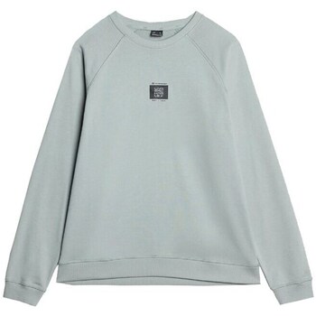 Clothing Men Sweaters 4F 4FAW23TSWSM68747S Grey, Celadon