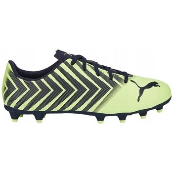 Shoes Children Football shoes Puma Tacto Ii Fg, ag Celadon, Black