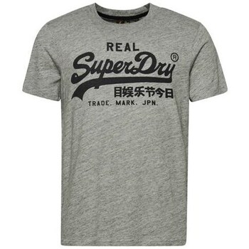 Clothing Men Short-sleeved t-shirts Superdry Vintage Vl Tee Grey