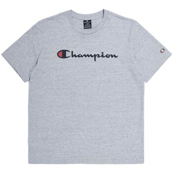 Clothing Men Short-sleeved t-shirts Champion 219831EM021 Grey