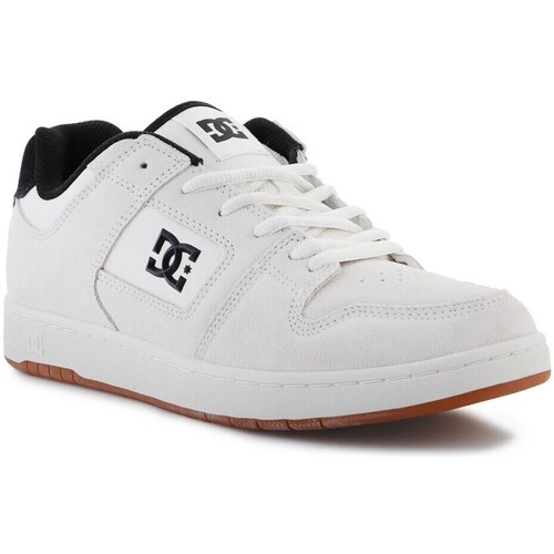 Shoes Men Low top trainers DC Shoes Manteca 4 White