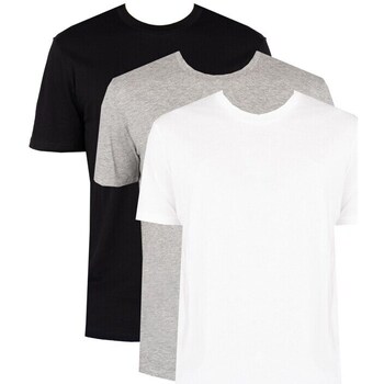 Clothing Men Short-sleeved t-shirts Champion 3-pack Black, Grey, White