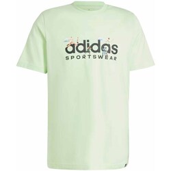 Clothing Men Short-sleeved t-shirts adidas Originals IM8306 Green