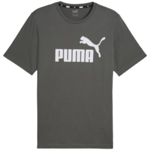 Clothing Men Short-sleeved t-shirts Puma 58666769 Graphite