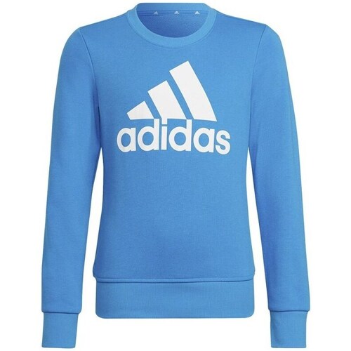 Clothing Girl Sweaters adidas Originals Big Logo Blue