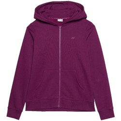 Clothing Women Sweaters 4F 4FWSS24TSWSF095651S Purple