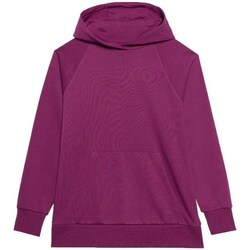 Clothing Women Sweaters 4F 4FWSS24TSWSF095551S Purple